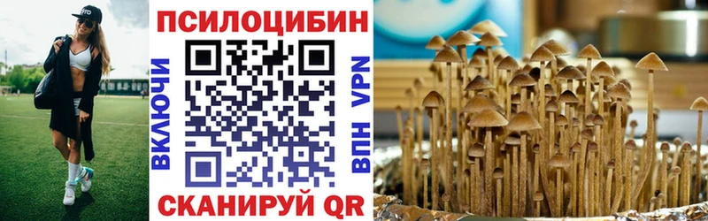 Галлюциногенные грибы Cubensis  Купить закладки  Уфа 