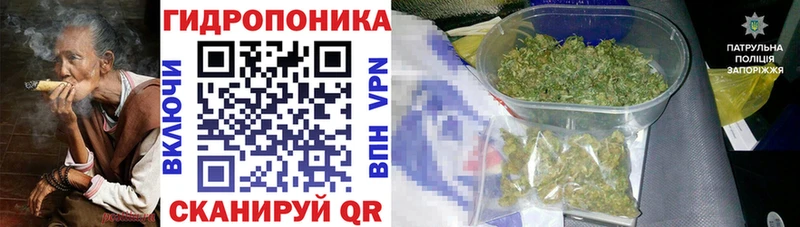 Каннабис индика  Купить  Уфа